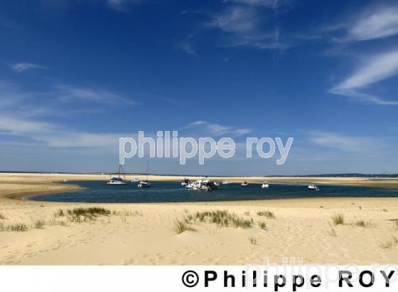 Bassin d'Arcachon (33F05029.jpg)