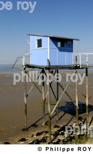 L'estuaire de la Gironde (33F06229.jpg)