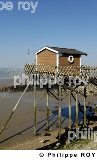 L'estuaire de la Gironde (33F06230.jpg)