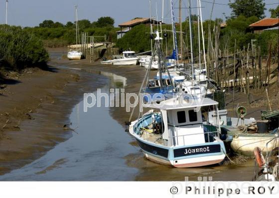 L'estuaire de la Gironde (33F06232.jpg)