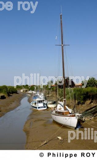 L'estuaire de la Gironde (33F06233.jpg)