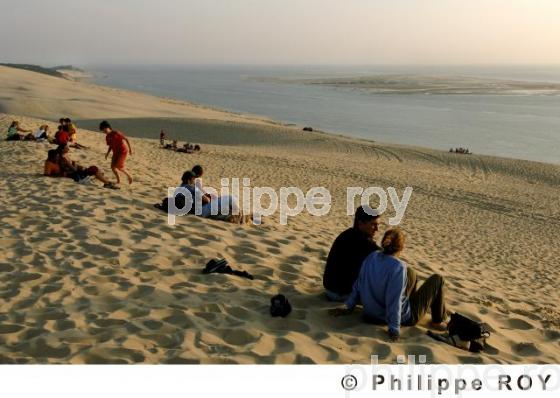 Dune du Pyla - Bassin d'Arcachon (33F06902.jpg)