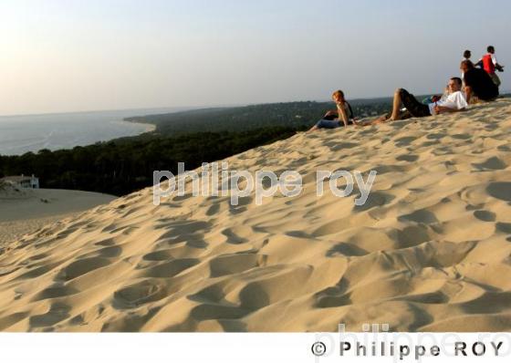 Dune du Pyla - Bassin d'Arcachon (33F06904.jpg)
