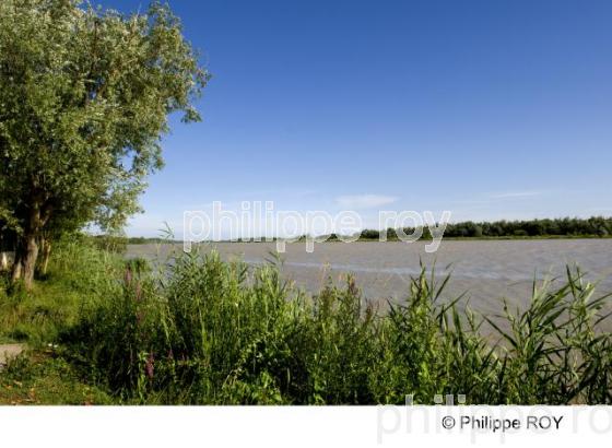 Estuaire de la Gironde (33F09731.jpg)