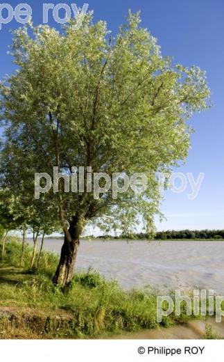 Estuaire de la Gironde (33F09738.jpg)