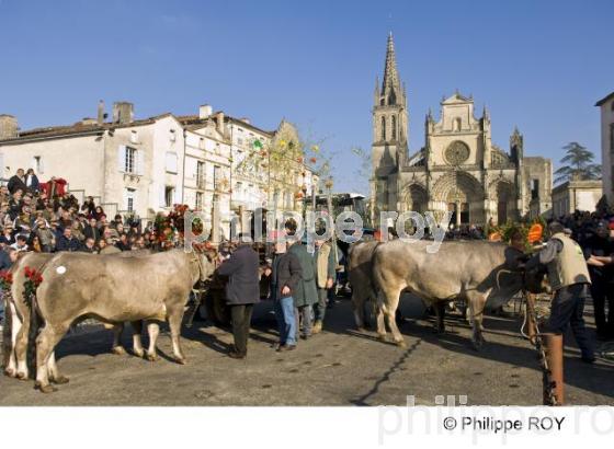 Bazas - Gironde (33F10020.jpg)