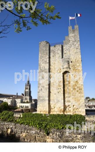 Saint Emilion - Gironde (33F10705.jpg)