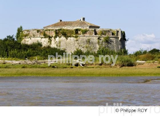Ile Pt - Gironde (33F11618.jpg)