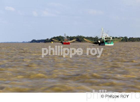Estuaire - Gironde (33F11623.jpg)