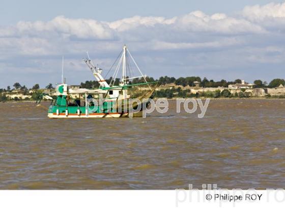 Estuaire - Gironde (33F11625.jpg)