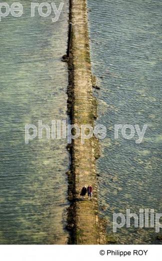 ACCES AU PHARE DE CORDOUAN, ESTUAIRE DE LA GIRONDE, FRANCE (33F11913.jpg)