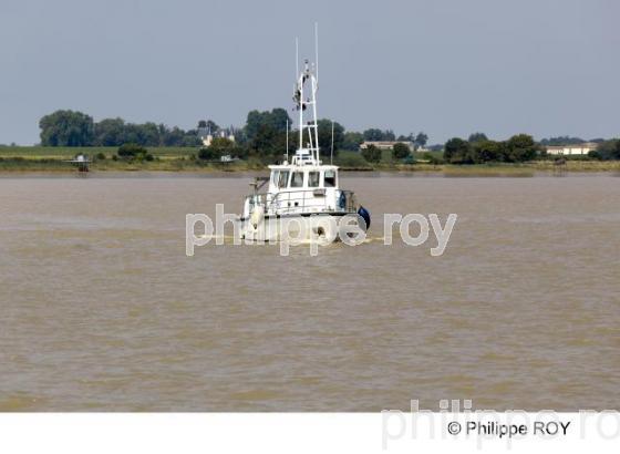 Estuaire - Gironde (33F12039.jpg)