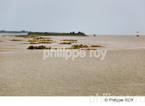 Estuaire - Gironde (33F12104.jpg)