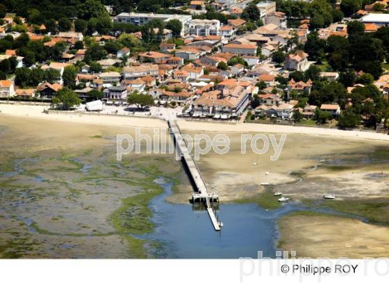 Bassin d' Arcachon - Gironde (33F12107.jpg)