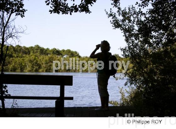 Lac Hourtin - Gironde (33F12205.jpg)