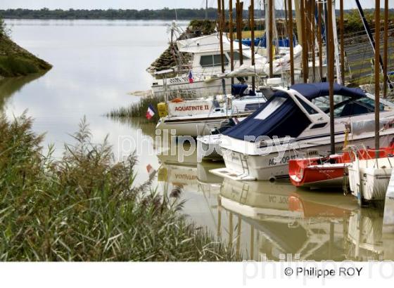 Estuaire - Gironde (33F12704.jpg)