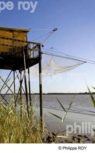 Estuaire - Gironde (33F12714.jpg)