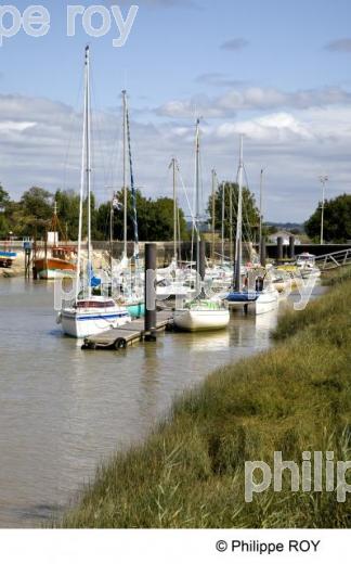 Estuaire - Gironde (33F12813.jpg)