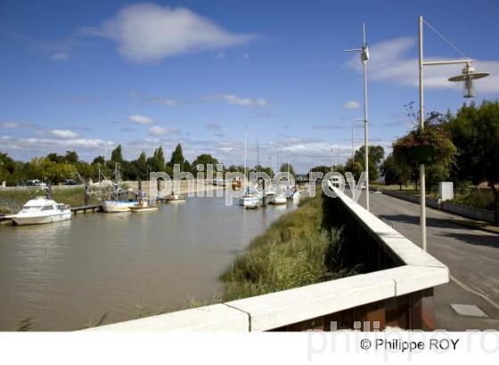 Estuaire - Gironde (33F12815.jpg)