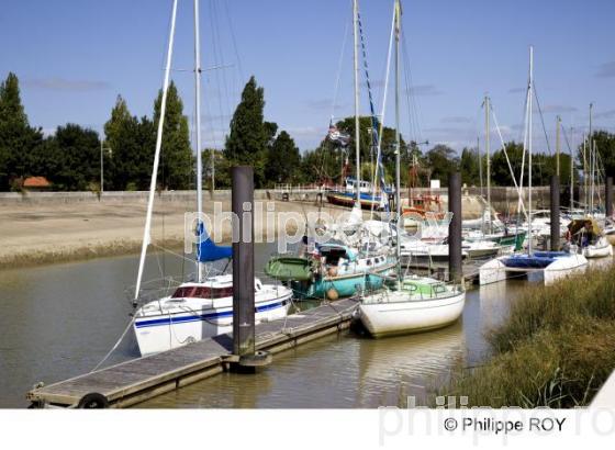 Estuaire - Gironde (33F12816.jpg)