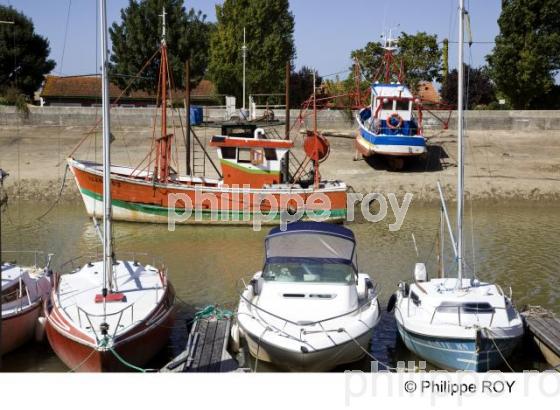 Estuaire - Gironde (33F12817.jpg)