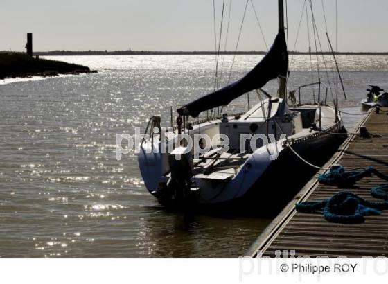 Estuaire - Gironde (33F12820.jpg)