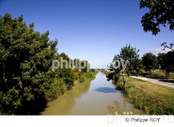 Ple Nature - Gironde (33F12904.jpg)
