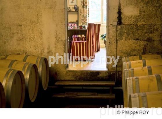 Saint Emilion - Gironde (33F13006.jpg)