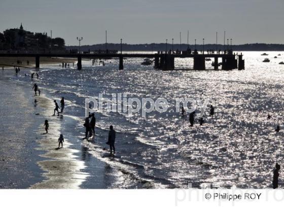 Bassin d' Arcachon - Gironde (33F13309.jpg)