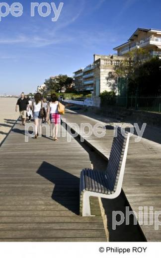 Bassin d' Arcachon - Gironde (33F13310.jpg)
