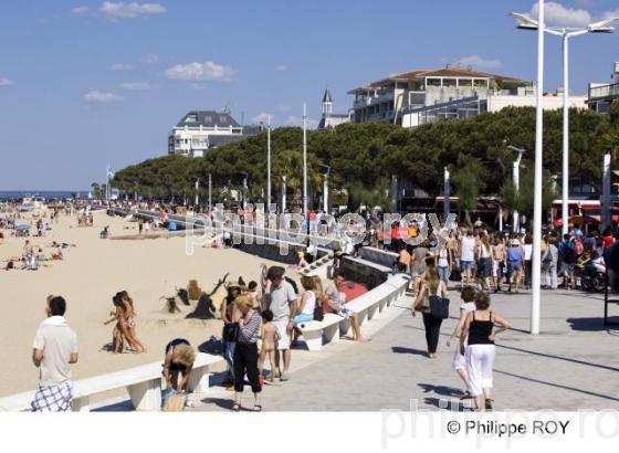 Bassin d' Arcachon - Gironde (33F13402.jpg)