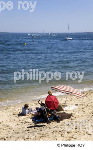 Bassin d' Arcachon - Gironde (33F13410.jpg)