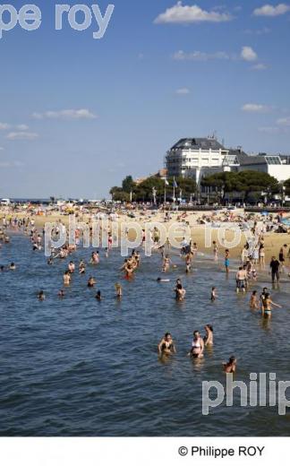 Bassin d' Arcachon - Gironde (33F13411.jpg)