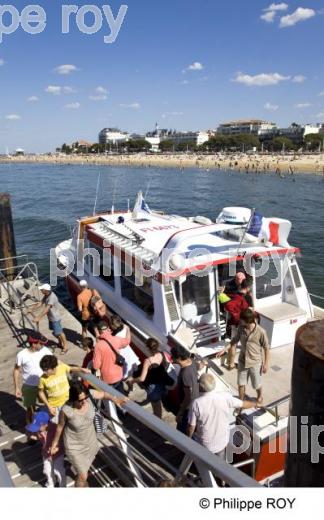 Bassin d' Arcachon - Gironde (33F13419.jpg)