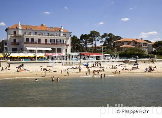 Bassin d' Arcachon - Gironde (33F13501.jpg)