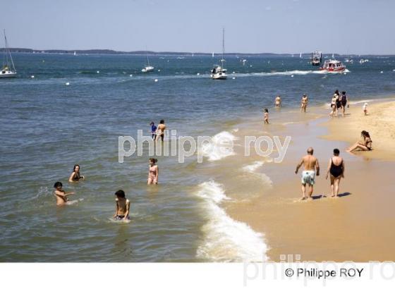 Bassin d' Arcachon - Gironde (33F13502.jpg)