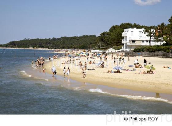 Bassin d' Arcachon - Gironde (33F13503.jpg)