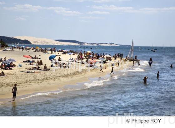 Bassin d' Arcachon - Gironde (33F13504.jpg)