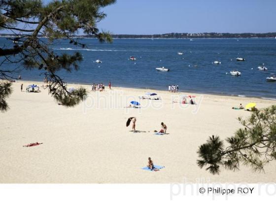 Bassin d' Arcachon - Gironde (33F13510.jpg)