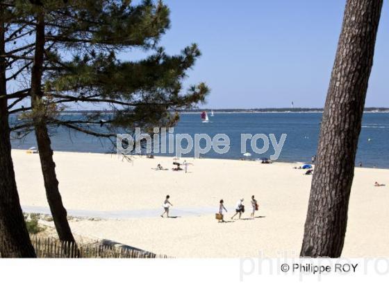 Bassin d' Arcachon - Gironde (33F13511.jpg)