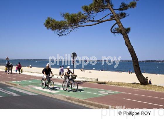 Bassin d' Arcachon - Gironde (33F13516.jpg)