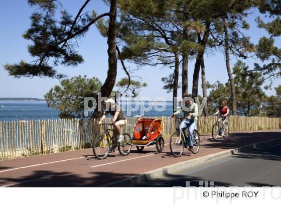 Bassin d' Arcachon - Gironde (33F13517.jpg)