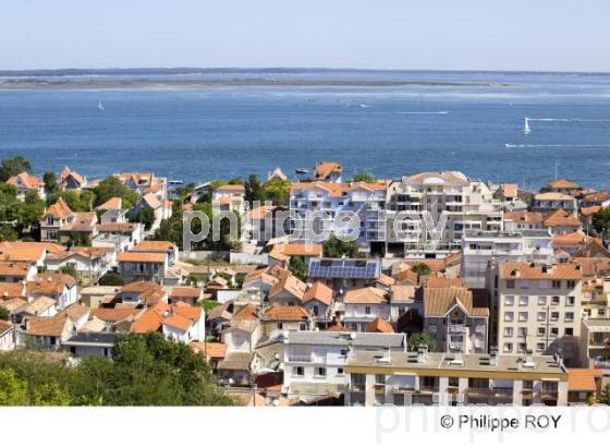 Bassin d' Arcachon - Gironde (33F13611.jpg)