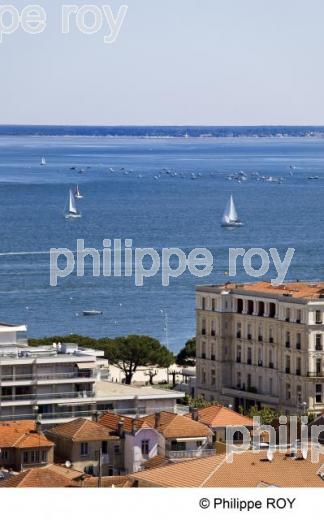 Bassin d' Arcachon - Gironde (33F13720.jpg)