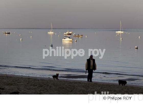 Bassin d' Arcachon - Gironde (33F13736.jpg)