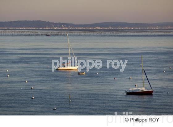 Bassin d' Arcachon - Gironde (33F13737.jpg)