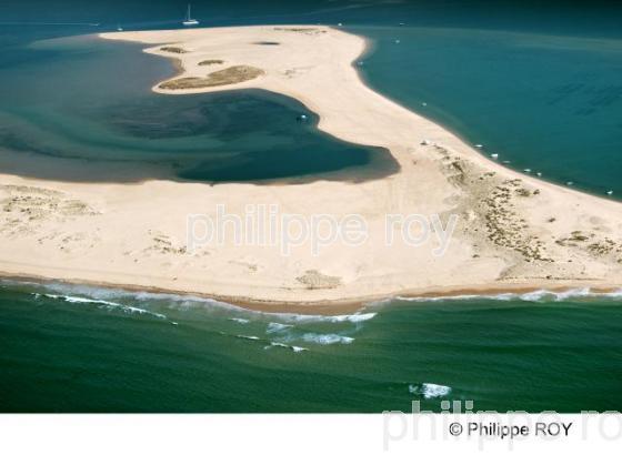 Bassin d' Arcachon - Gironde (33F13806.jpg)
