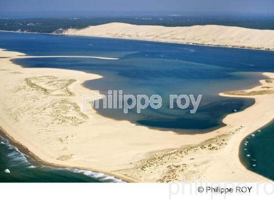 Bassin d' Arcachon - Gironde (33F13808.jpg)