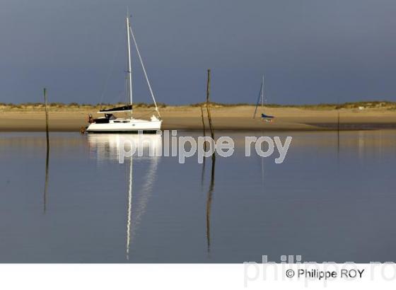 Bassin d' Arcachon - Gironde (33F13809.jpg)