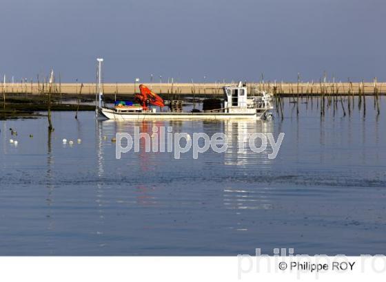 Bassin d' Arcachon - Gironde (33F13814.jpg)